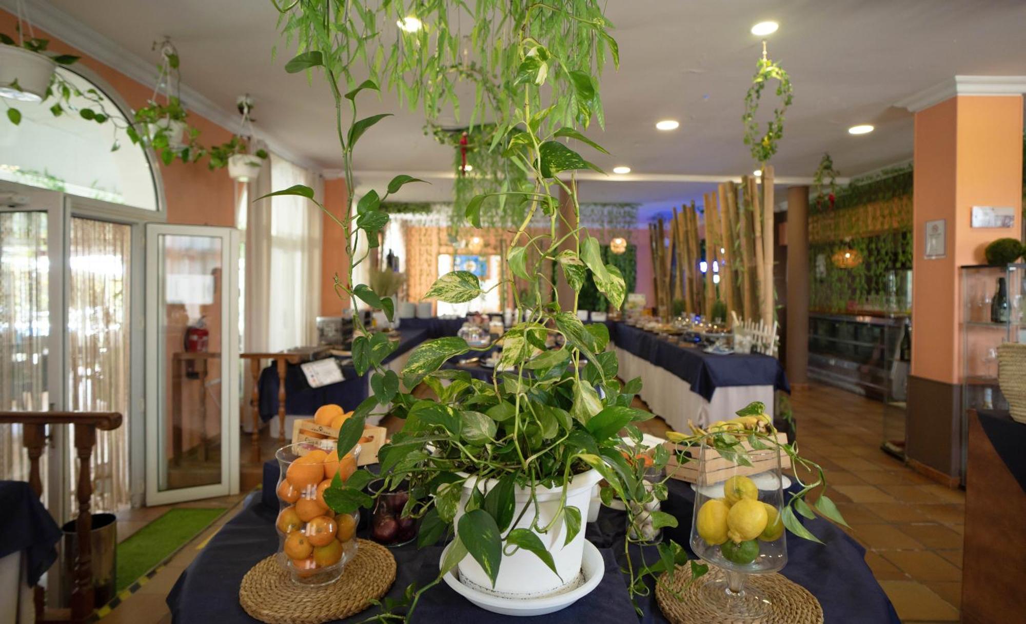 Hotel Albaida Nature 마자곤 외부 사진