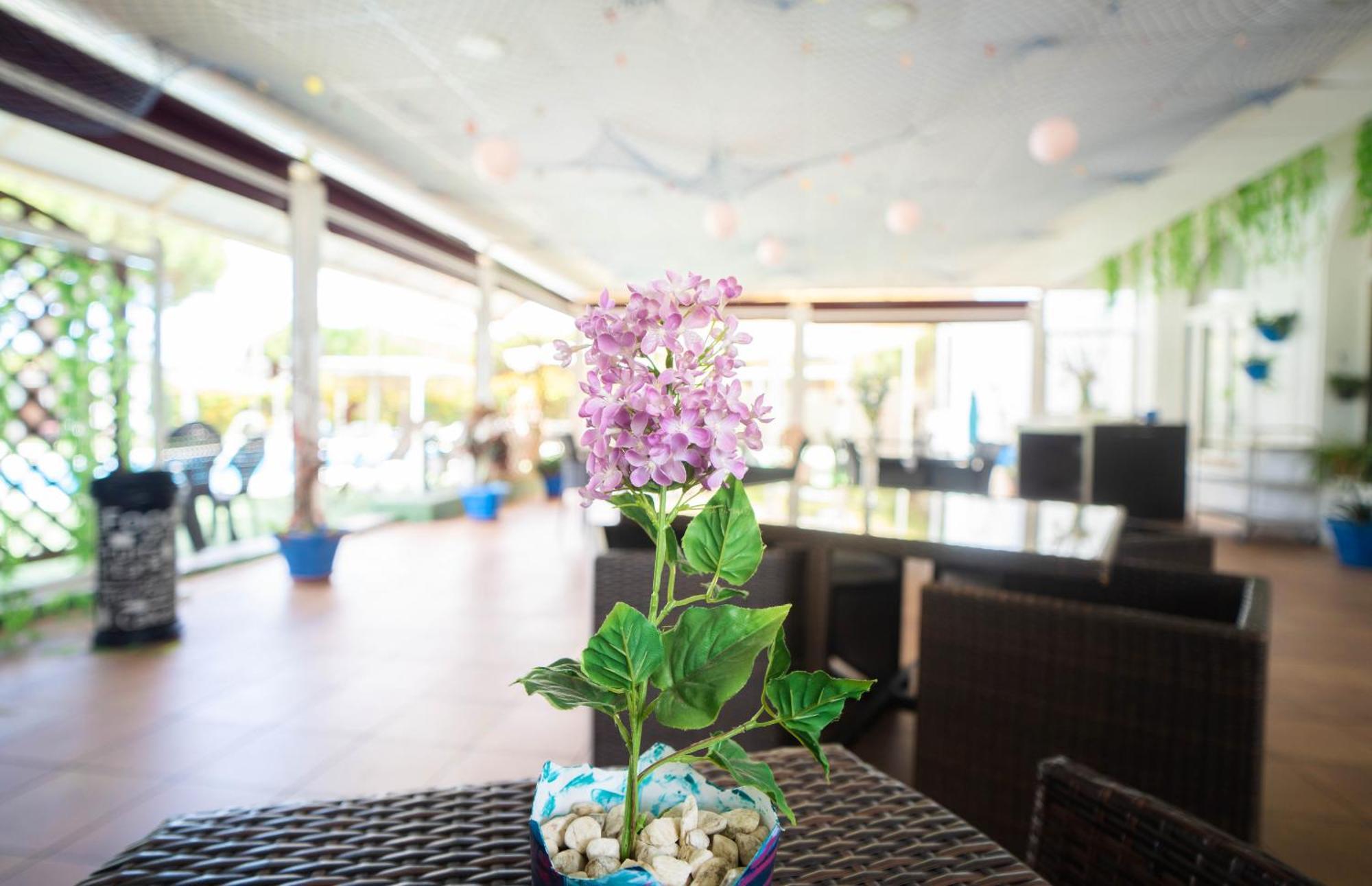 Hotel Albaida Nature 마자곤 외부 사진